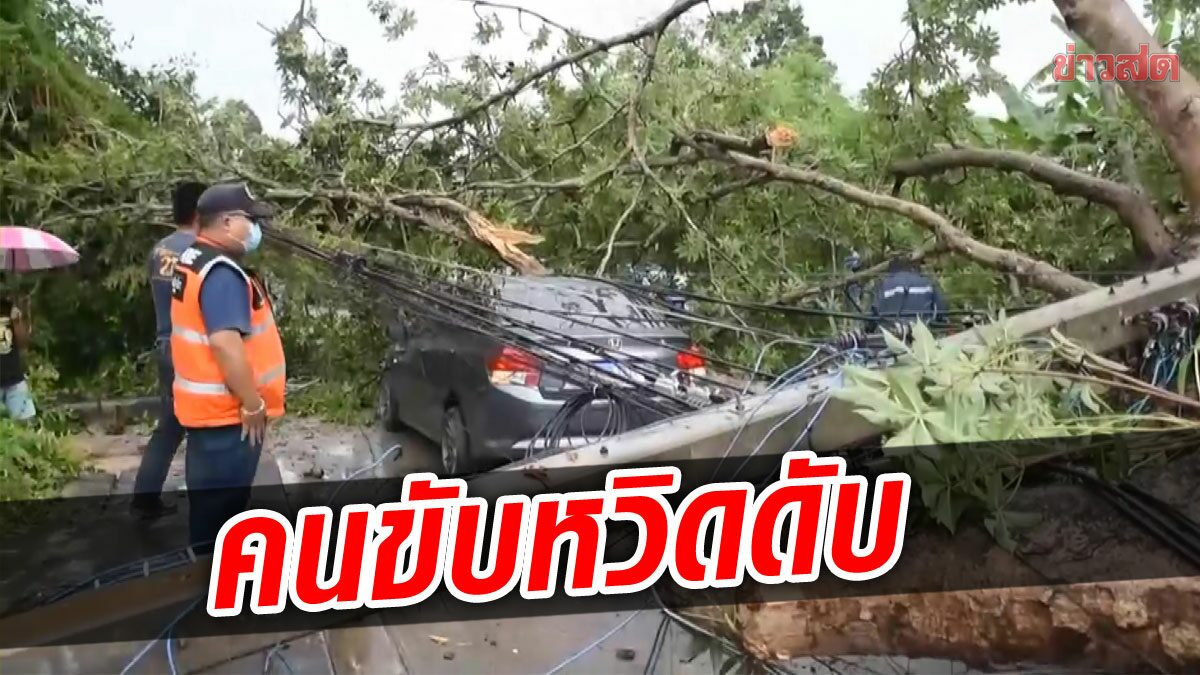 พายุถล่มศรีสะเกษ ซัดต้นยางยักษ์อายุ 100 ปีโค่น ทับเก๋ง หนุ่มหวิดดับ