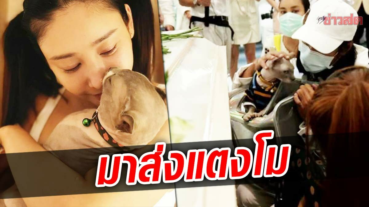 ลากันครั้งสุดท้ายมีน้ำตา เบิร์ด อุ้มแมวสุดรัก ร่วมส่งแตงโม