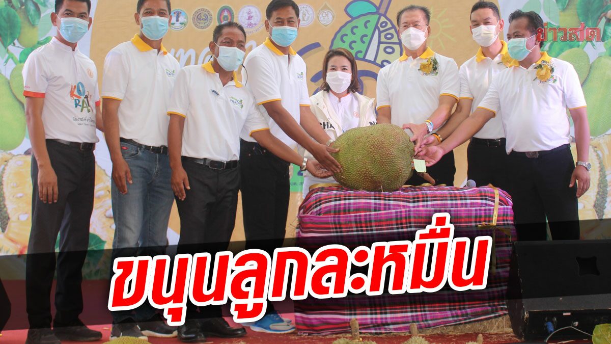 ฮือฮากันทั้งงาน ประมูล ขนุนยักษ์ หนัก 29 กิโลกรัม ลูกละ1หมื่น งานเทศกาลขนุนโลกโคราช