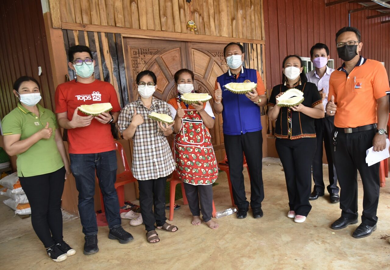 เตรียมส่งทุเรียนภูเขาไฟ 4.5 พันตันสู่ตลาด การันตีอร่อยมาก ละมุนลิ้นละลายที่ใจ