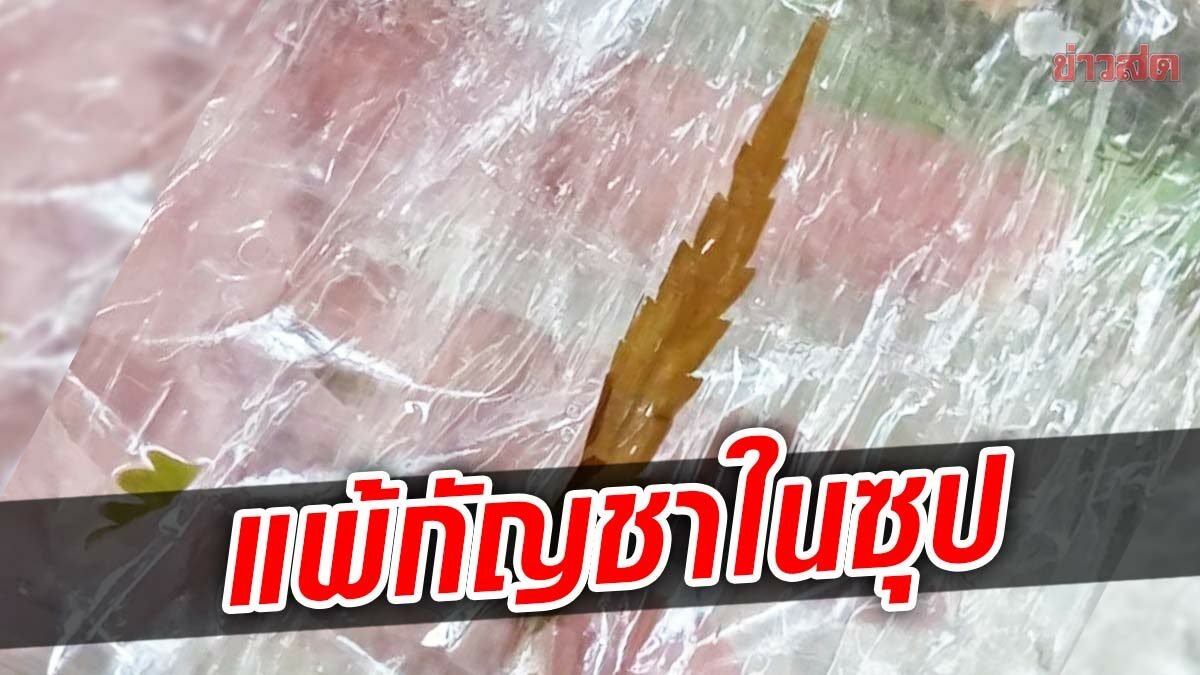 สาวกินซุปผสมกัญชา สุดท้ายแพ้สุดทรมาน เตือนเช็กส่วนผสมไม่ใช่ทุกคนกินได้