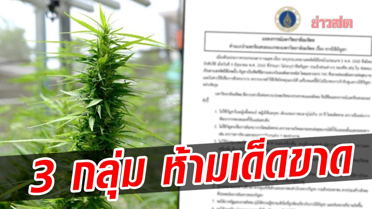 ม.มหิดล ออกแถลงการณ์ 8 ข้อ แนะนำการใช้กัญชา ย้ำ 3 กลุ่ม ห้ามเด็ดขาด