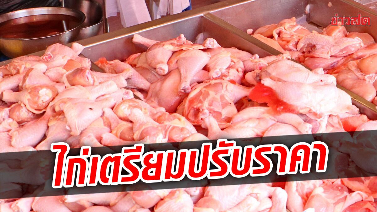 ไก่ จ่อขยับขึ้นราคา หลังวัตถุดิบอาหารสัตว์แพงต่อเนื่อง