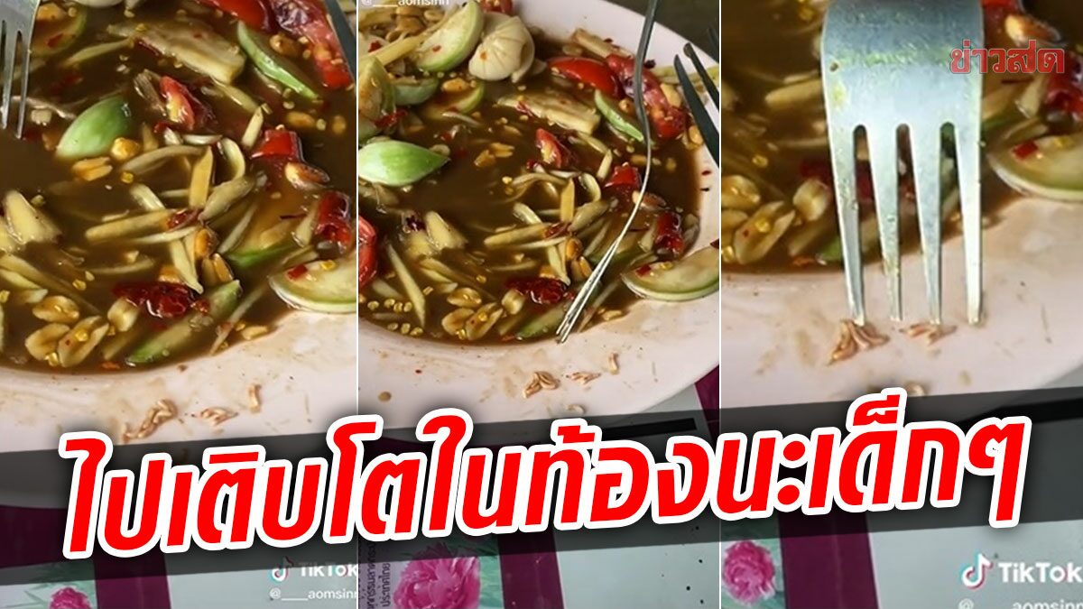 อวสานส้มตำที่รัก! สาวอ้วกแทบพุ่ง หนอนยั้วเยี้ยเต็มจาน กินเกือบหมดเพิ่งเห็น