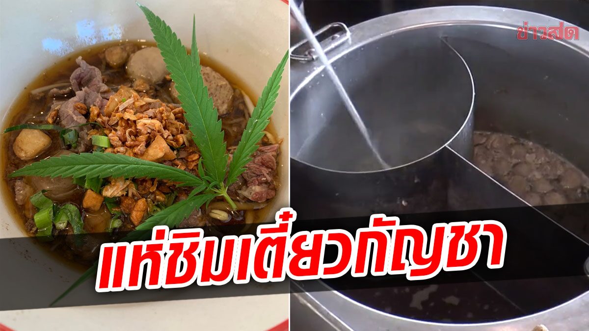 ลูกค้าแห่ชิม 'ก๋วยเตี๋ยวกัญชา' หลังปลดล็อก จัดเต็มทั้งน้ำซุปและใบ