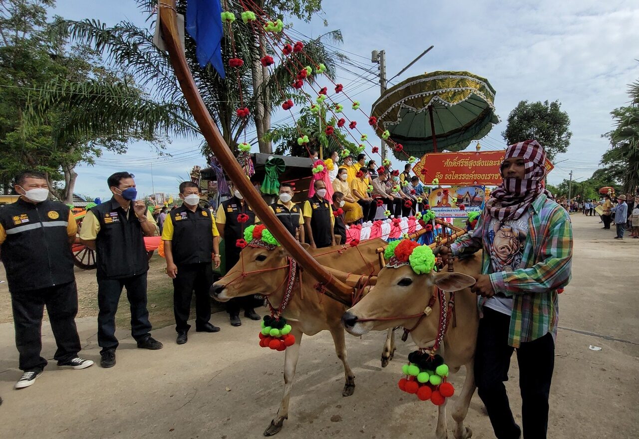 แห่เทียนพรรษา ขบวนวัวเทียมเกวียน อนุรักษ์ประเพณีโบราณ-สืบสานงานบุญเข้าพรรษา