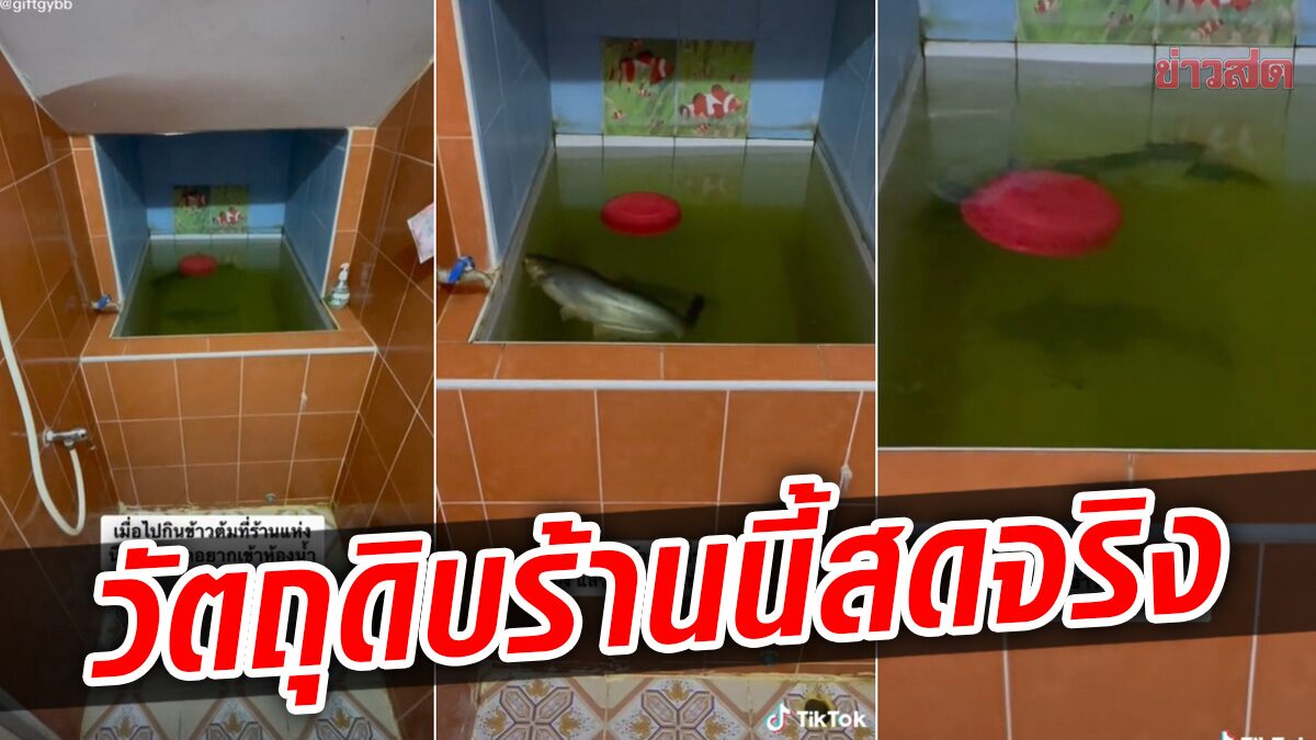 สาวยืนตะลึง เข้าห้องน้ำร้านข้าวต้ม เจอปลาสวายว่ายในอ่างน้ำ ลูกเจ้าของร้านโผล่แจง