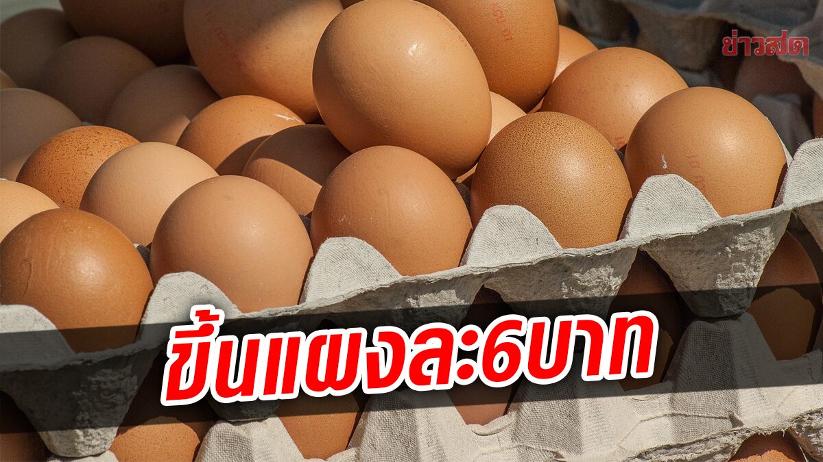 เดือนเดียวปรับ 2 รอบ พรุ่งนี้ ไข่ไก่ ขึ้นราคาอีกแผงละ 6 บาท