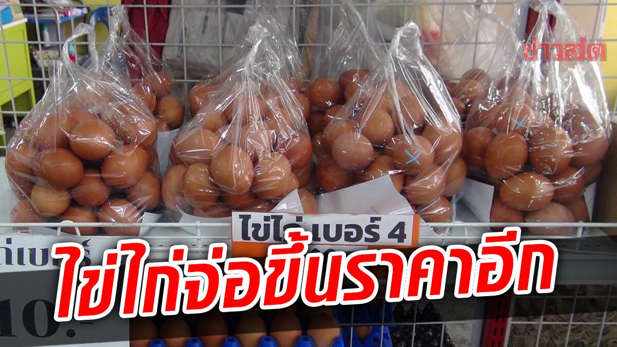 ผู้บริโภคกระอัก ไข่ไก่จ่อขึ้นราคา 6 บาทต่อแผง ผู้ค้าตรึงราคา-เห็นใจลูกค้า