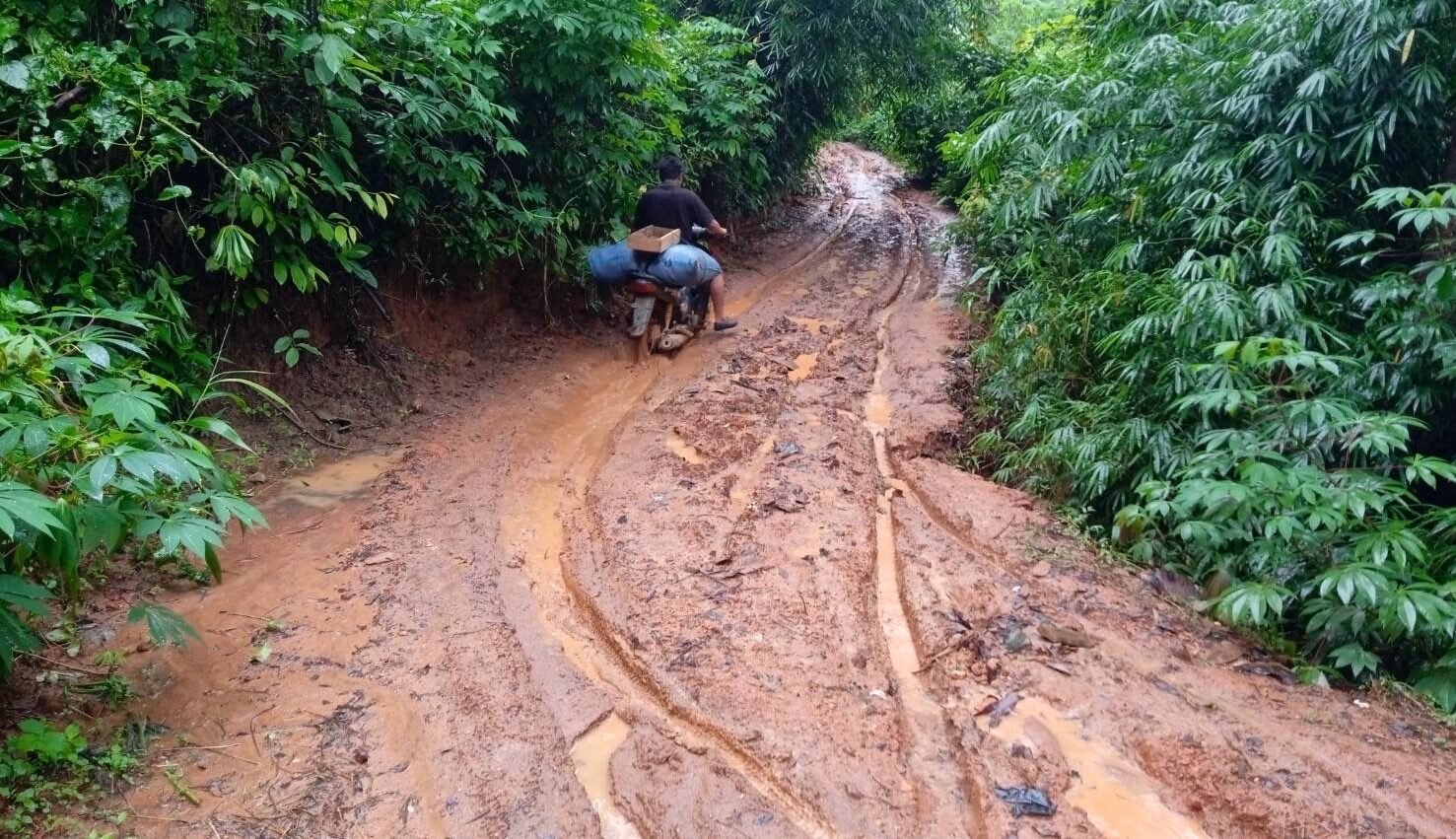 ฝนตกหนัก สะเมิงระส่ำ ระดับน้ำห้วยเพิ่มสูง เอ่อหลากไหลท่วม ไร่นาเสียหาย​ ถนนชำรุด​