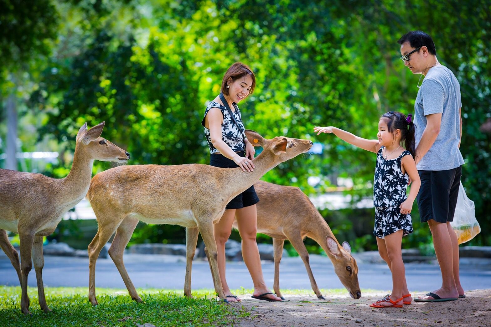 ฉลองวันแม่ 12 สิงหา องค์การสวนสัตว์ฯ ชวนลูกจูงมือแม่ เที่ยวชมสวนสัตว์ทั่วไทย