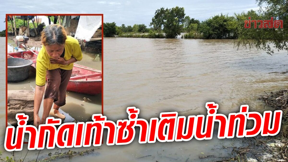 ลำน้ำมาศล้นตลิ่ง ไหลท่วมนาข้าว-บ้านเรือนปชช. เดือดร้อนหนัก ซ้ำเจอโรคน้ำกัดเท้าซ้ำเติม