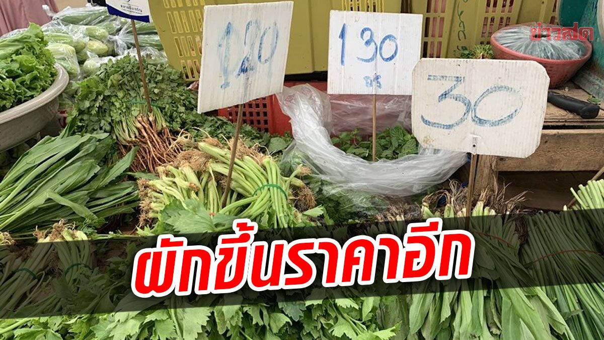 พริกแห้ง-กระเทียม ราคาพุ่งรายวัน ผักชี-ต้นหอม ขึ้นกิโลละ 20 บาท