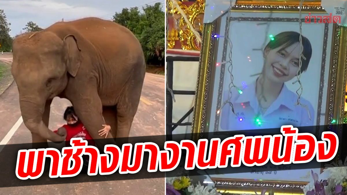 Get completely ready to choose Pang Suphansa to Nong Film’s funeral, hoping child can relaxation in peace – Clean News