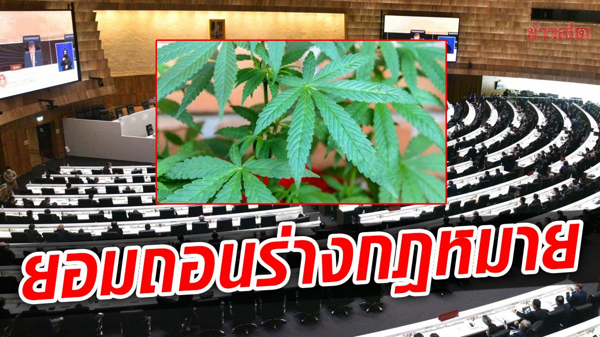 The council is busy!  CCP Joins Opposition Bie Withdrawn Marijuana Bill Eventually, Thailand’s Pride Committee resigned.