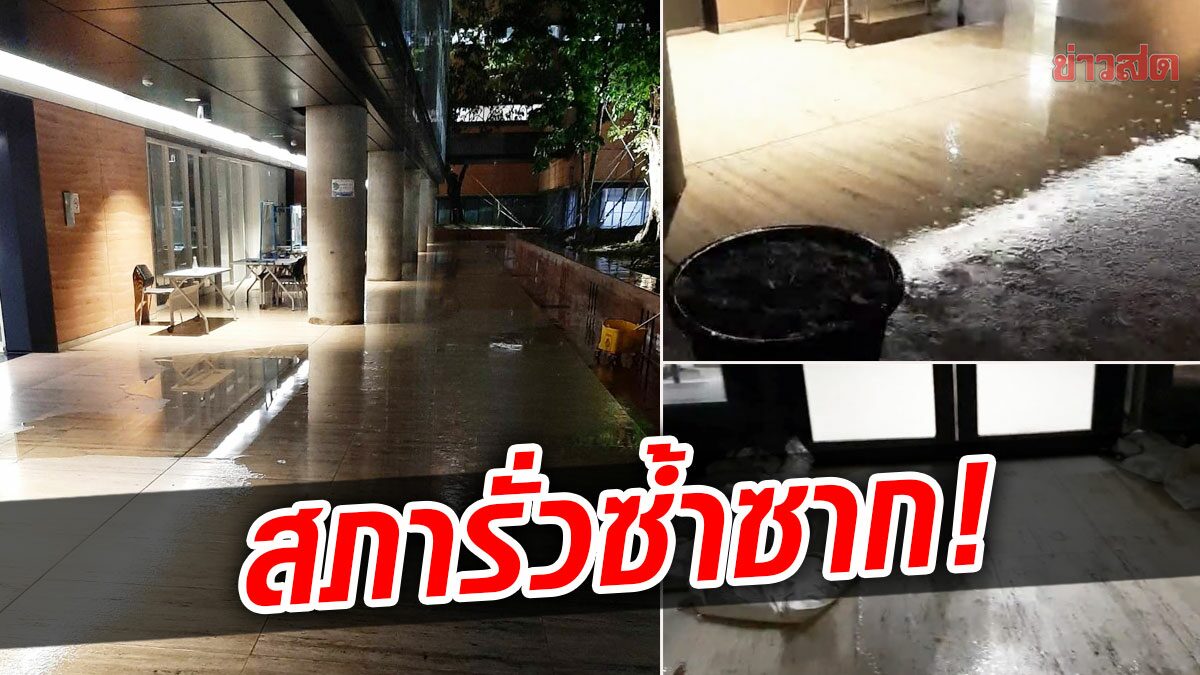 รั่วแล้วรั่วอีก! สภาหมื่นล้าน เจอน้ำนอง ท่วมพื้นตึกวุฒิสภา ช่วงฝนถล่มวานนี้