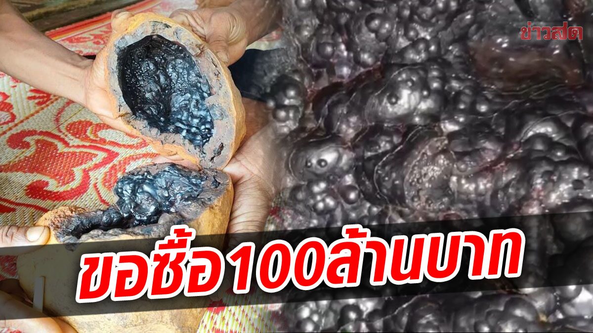 A 43-calendar year-aged man finds “Lek Lai’s nest” soon after a woman goals of it.  Sian invaded the property and asked to acquire 100 million baht.