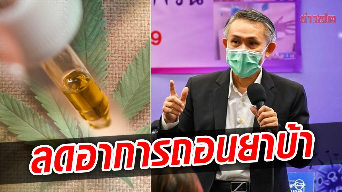 แพทย์ เตรียมวิจัย ใช้สารสกัดกัญชา CBD บำบัดคนติดยา ลดอาการถอนยาบ้า