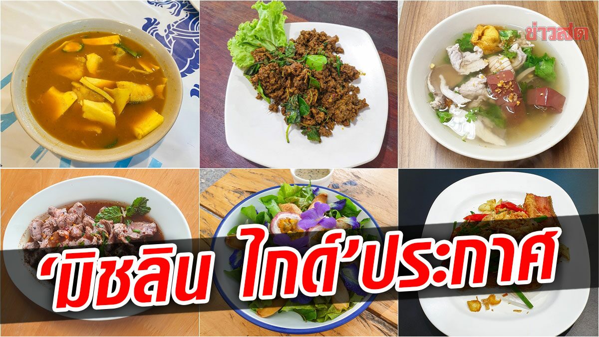 ประกาศแล้ว! ร้านอาหารคว้า 'บิบ กูร์มองด์' ปี66 จาก มิชลิน ไกด์ รีบดูเลย