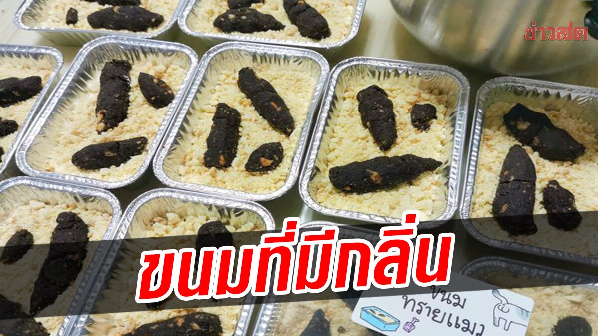 ขนมโลกต้องจำ! แม่ค้าผุดไอเดียบรรเจิด ทำขนมทรายแมว ทาสแมวอึ้ง เหมือนไปมั้ย