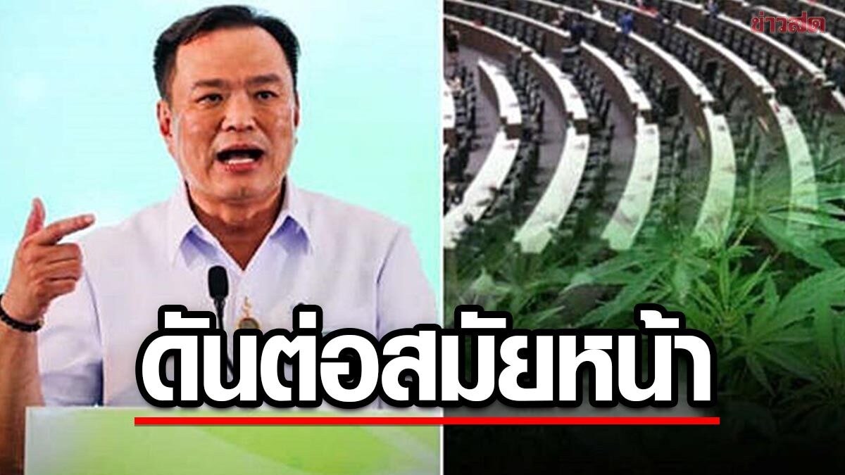 'อนุทิน' แจงเคลียร์ประกาศคุม 'ช่อดอกกัญชา' แล้ว ลั่นร่างไม่ผ่าน ดันต่ออีกสมัยหน้า