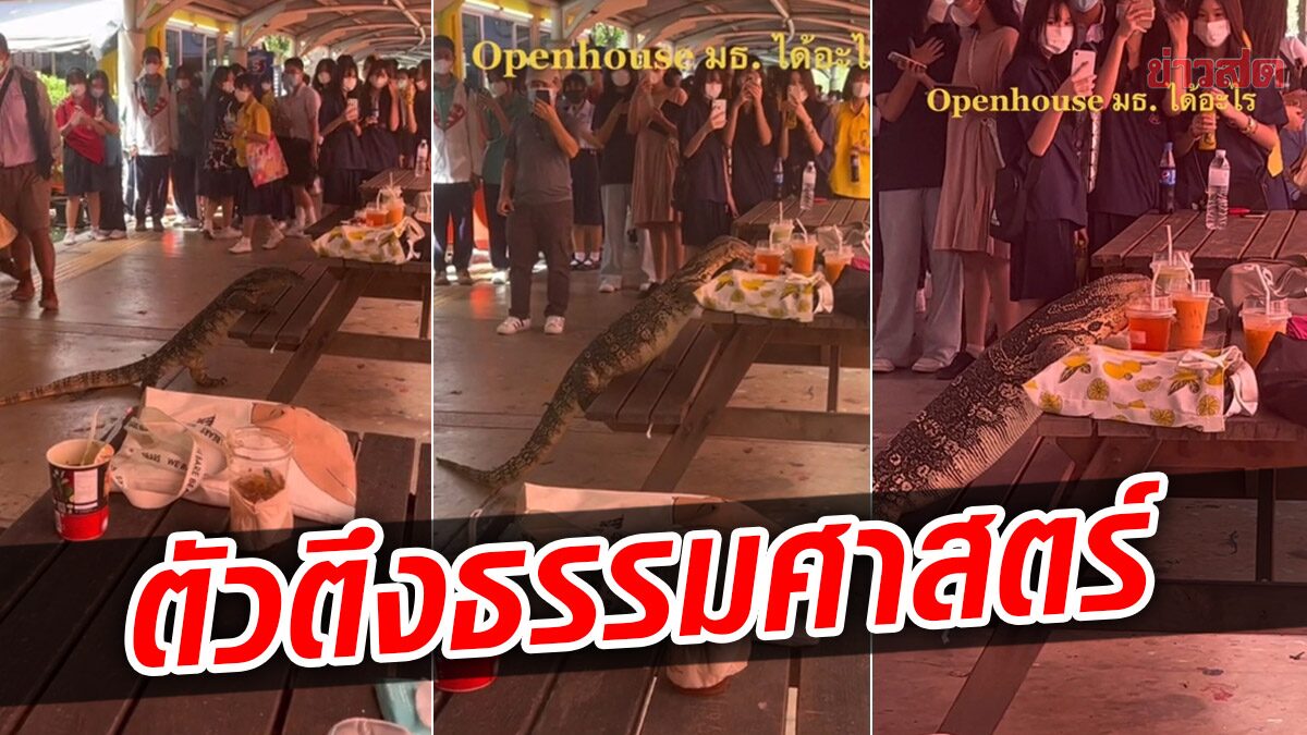 ตัวตึงธรรมศาสตร์! โผล่ขึ้นโต๊ะอาหาร กินอย่างชิล บอกแถวนี้รู้จักดี ราวเซเลบตัวหนึ่ง