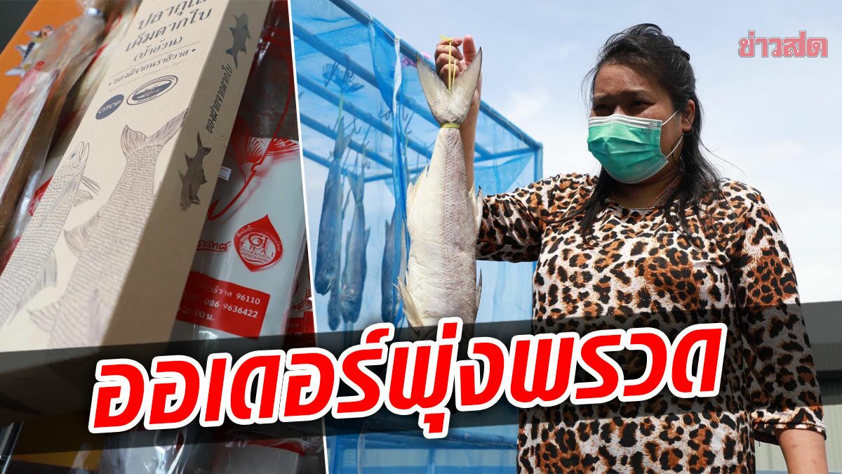 ออเดอร์พุ่งฉุดไม่อยู่ ปลากุเลาเค็มตากใบ ลูกสาวป้าอ้วน สุดตื้นตัน หลังรับการคัดสรรจาก 'เชฟชุมพล'