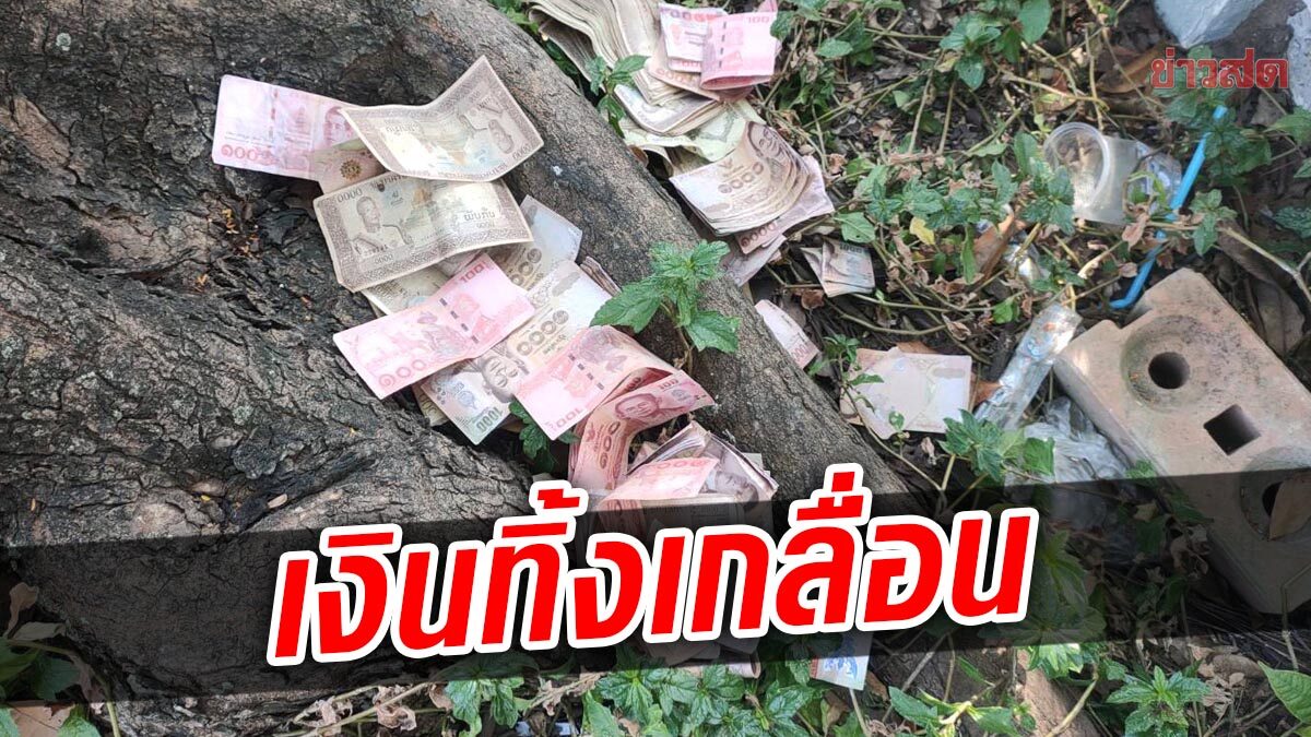 ไรเดอร์ตกใจ พบเงินไทย-ต่างชาติ ทิ้งเกลื่อนใต้ต้นไม้ โร่แจ้งตำรวจ