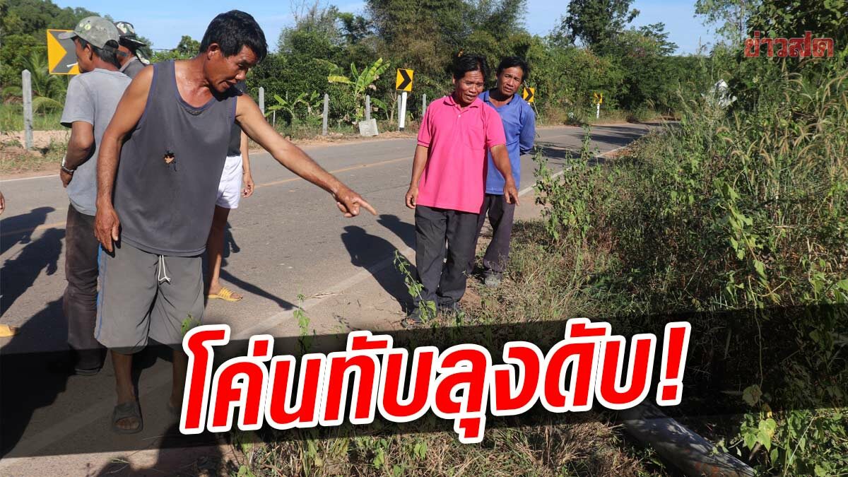 ลุงสุดเคราะห์ร้าย รับจ้างตัดต้นไม้ เจอโค่นทับร่าง ดับสลด