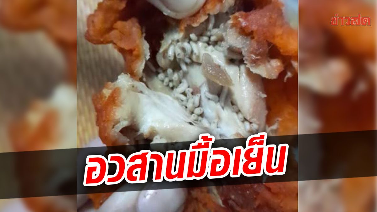 สาวซื้อ 'ไก่ทอด' มากิน ฉีกเนื้อมาแทบช็อก หนอนเต้นยั้วเยี้ยเต็มเนื้อไก่