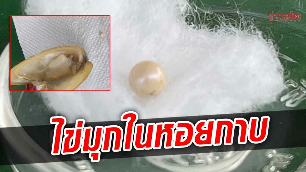 มีคนซื้อก็พร้อมขาย! สาวเจอตอนกินปิ้งย่าง "ไข่มุกเมโล" ในหอยกาบน้ำจืด