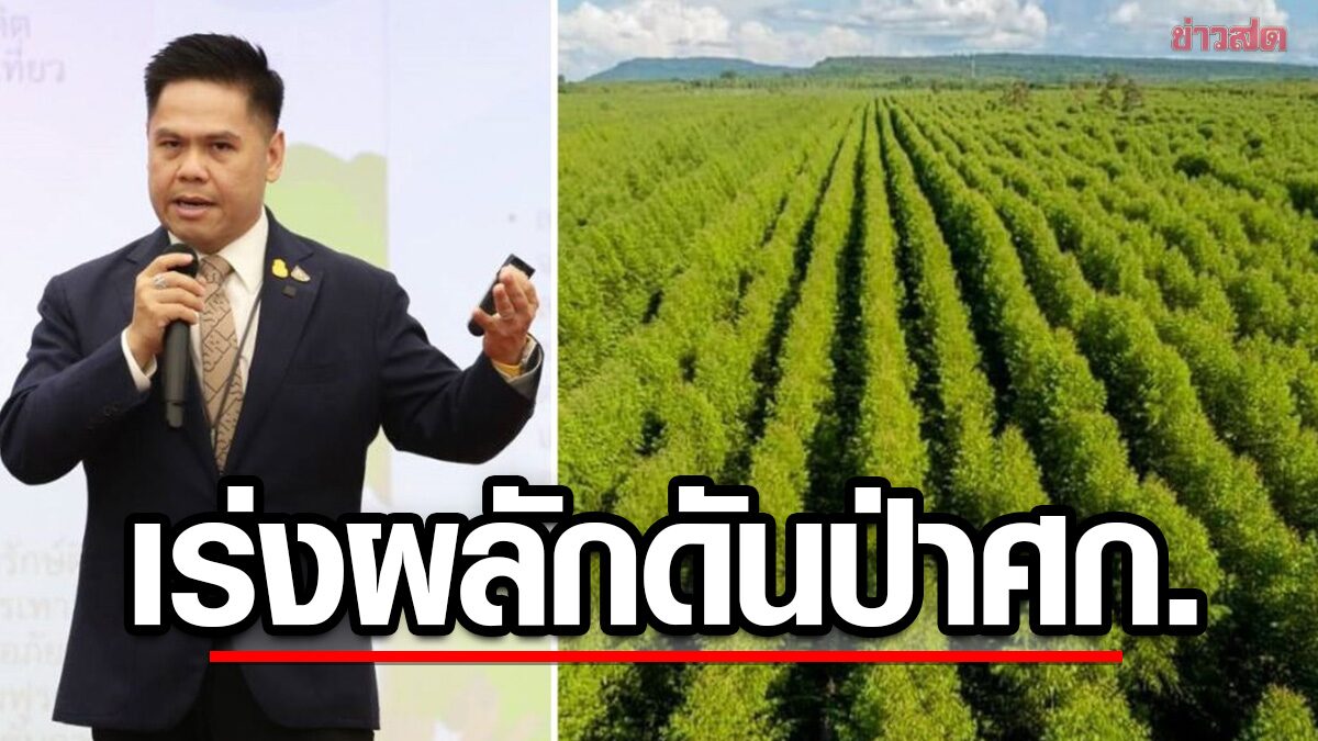 'วราวุธ' ตั้งเป้าเร่งผลักดันป่าศก. หวังเพิ่มรายได้ให้ประชาชน สร้างพื้นที่ดูดซับคาร์บอน