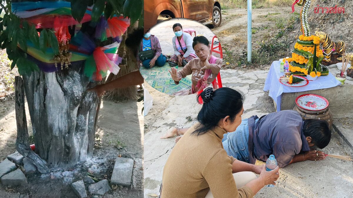 แห่ส่องหวยพิธีขอเลขเด็ดเจ้าแม่ตะเคียนยืนต้น สิงร่างพ่นน้ำเลื้อยเหมือนพญานาค