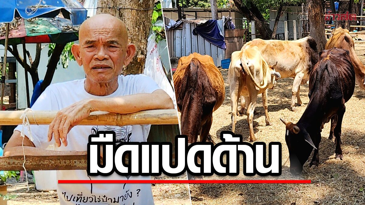 ป๋าเทพ เครียด ถูกเรียกภาษีดาราย้อนหลัง หนี้ก้อนใหญ่รุม หวั่นบ้านถูกยึด