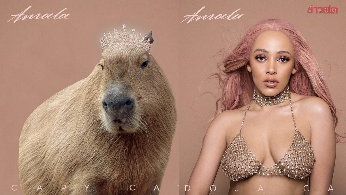 ภาพ Doja Cat อัลบั้ม Amala (2018)