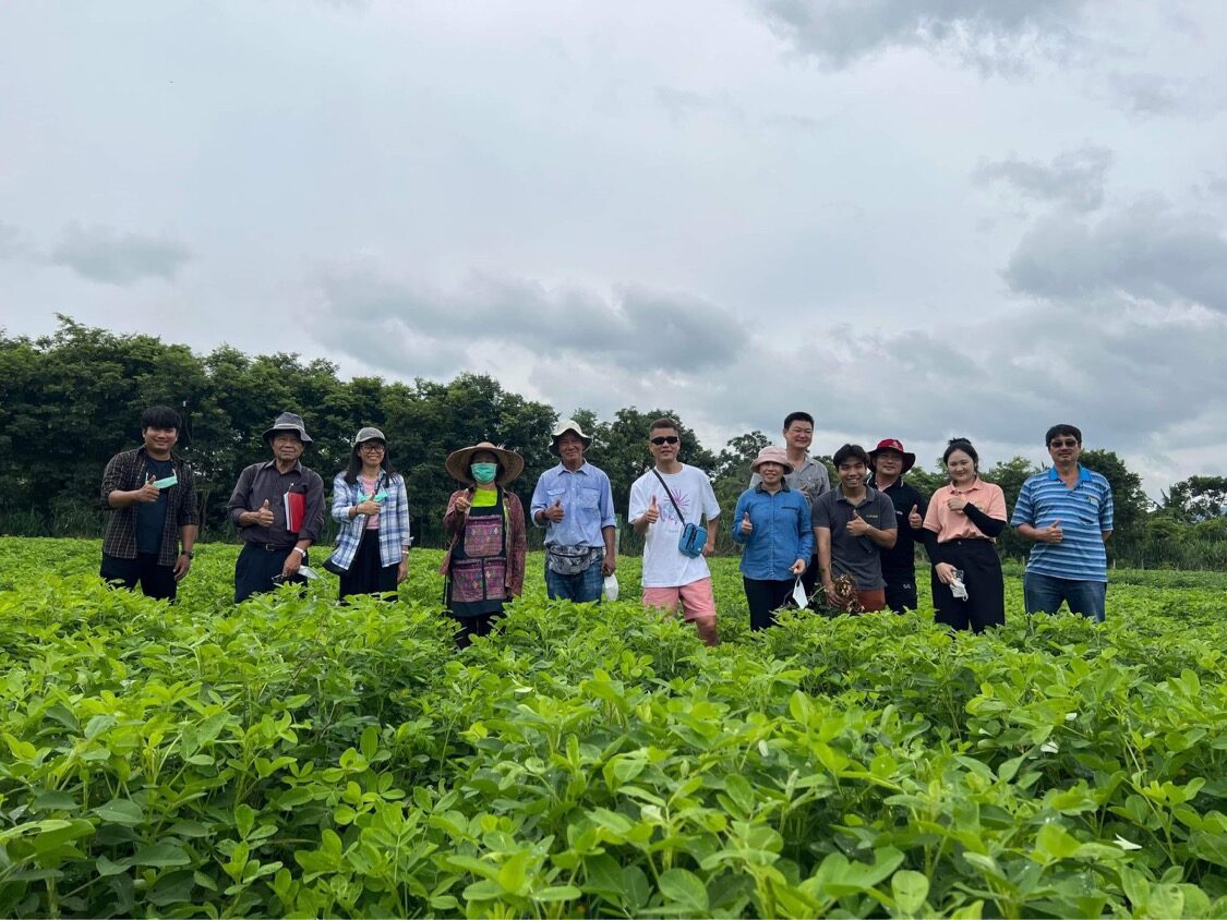 เปิดตัว ถั่วลิสงพันธุ์ใหม่ ให้ผลผลิตสูง คุณภาพมาตรฐาน พร้อมผลักดันสู่