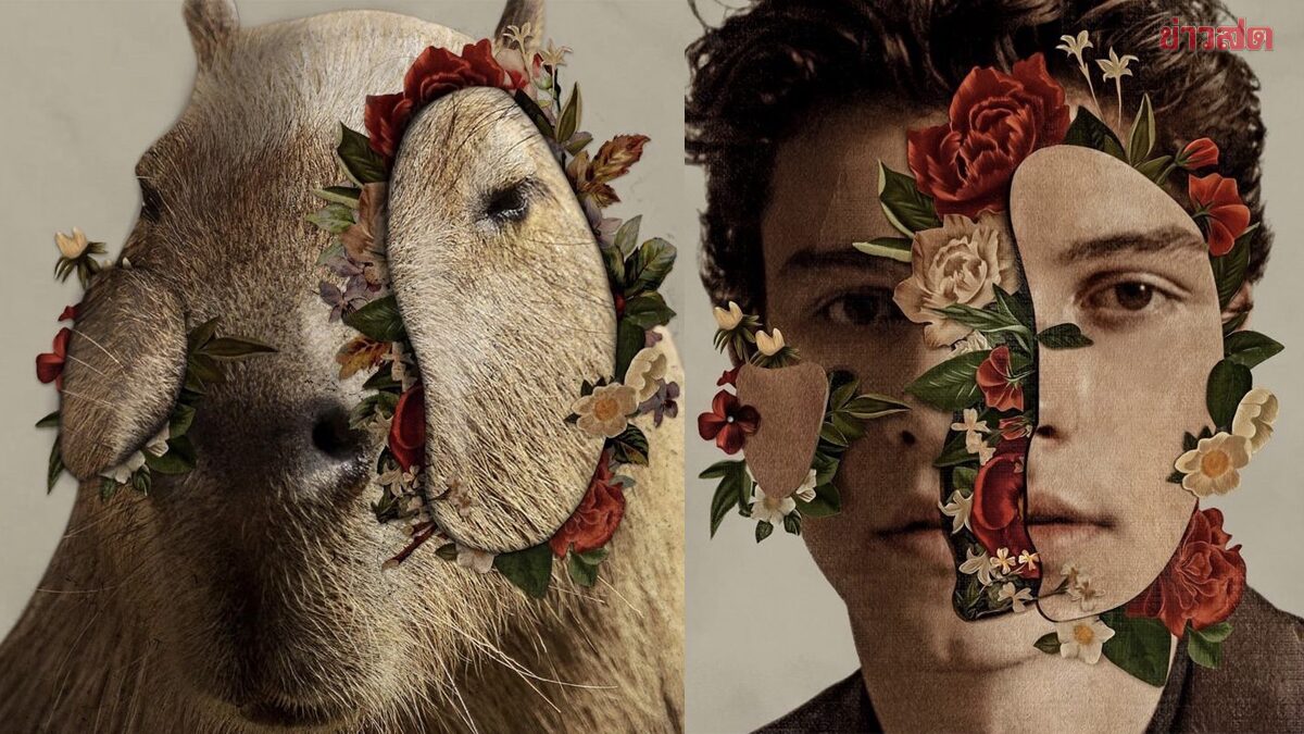 ภาพ Shawn Mendes อัลบั้ม Shawn Mendes (2018)