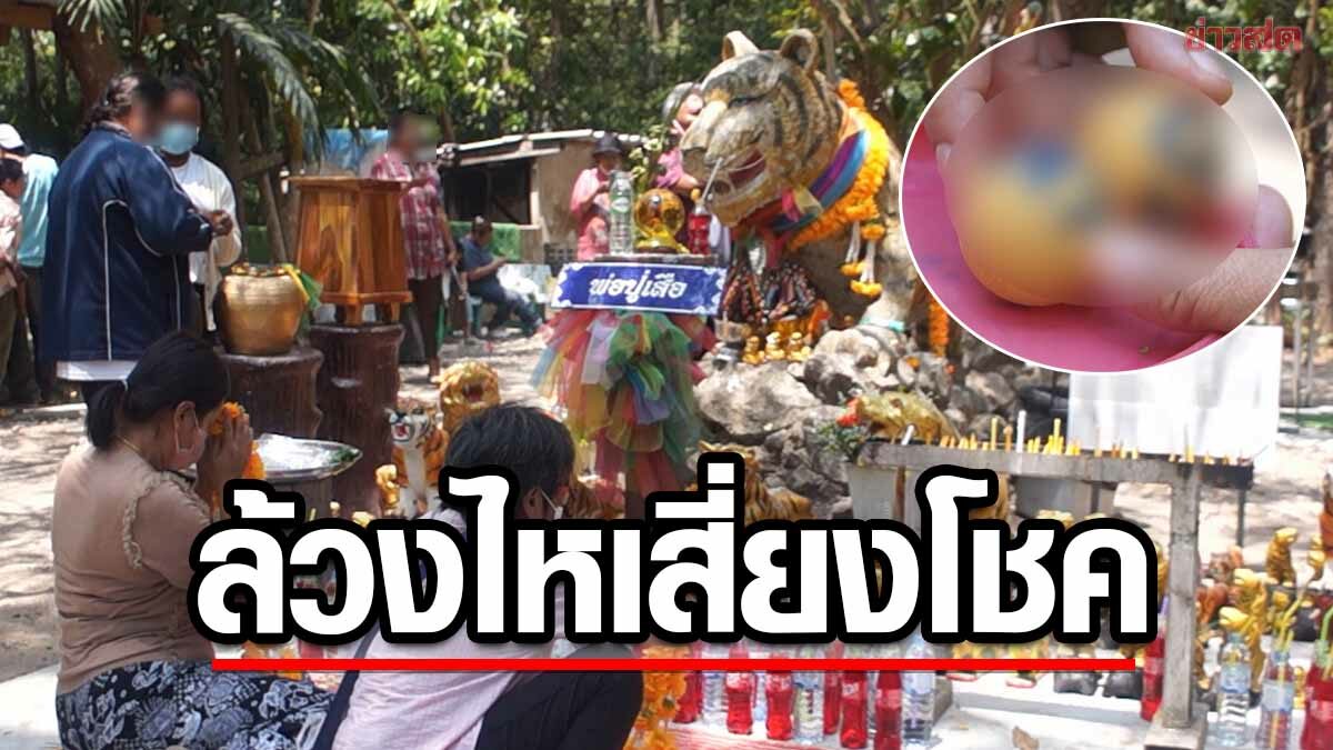 ลุ้นโค้งสุดท้าย ไหว้ขอพร พ่อปู่เสือ ล้วงไหจับลูกปิงปอง หาเลขเด็ด