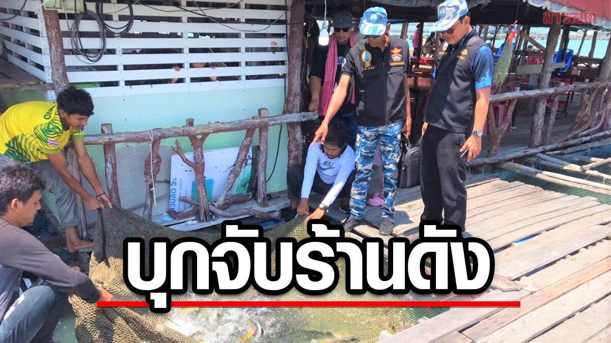 เจ้าหน้าที่บุกจับ ร้านอาหารดังภูเก็ต หลังคลิปว่อนโซเชียล เปิบพิสดาร