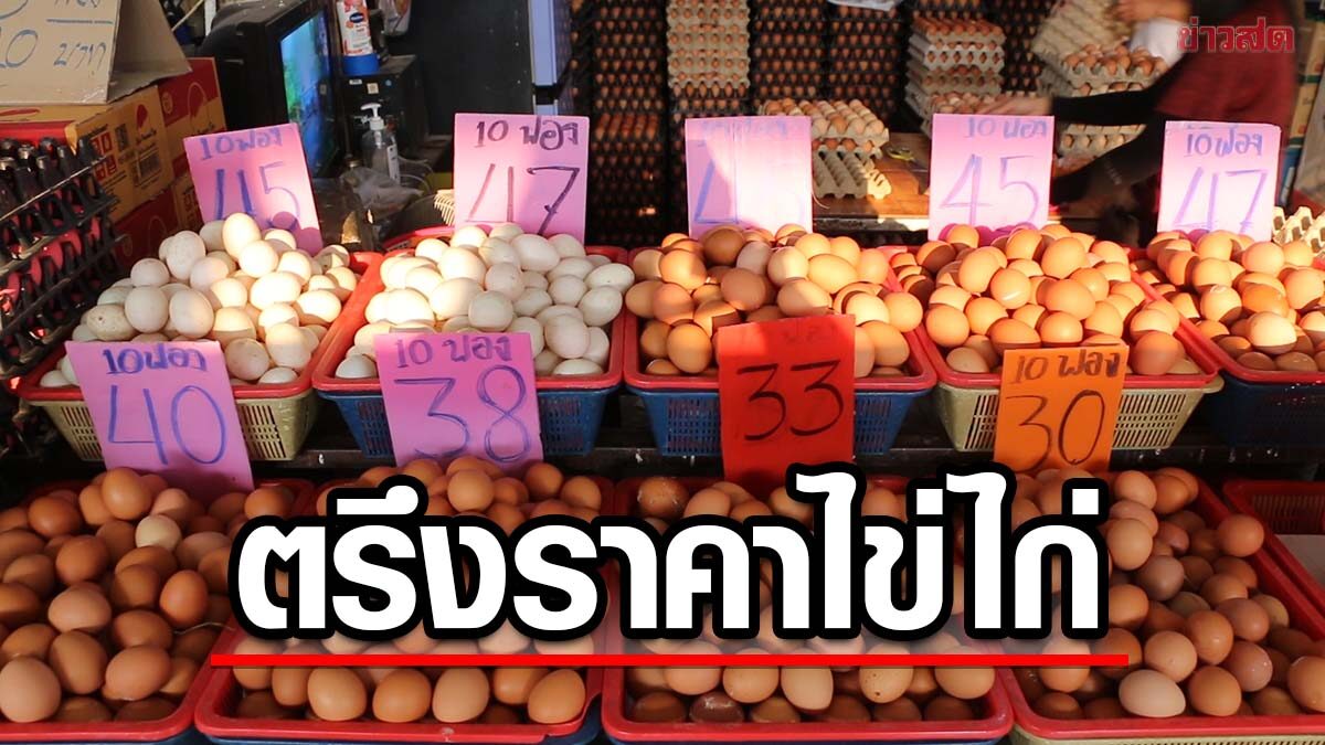 ไข่ไก่ ตรึงราคา ช่วยผู้บริโภค แม้ปรับขึ้นฟอง 20 สตางค์ ลูกค้าเข้าใจไข่ใบเล็กลง 