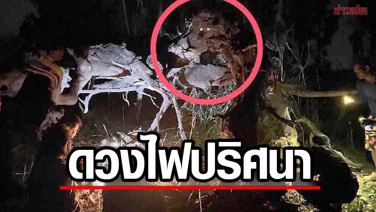 ขนลุกถ่ายติดดวงไฟปริศนา เข้าฝันชาวบ้านขุดเจอตอตะเคียน แห่ไหว้โชคดีถูกหวย