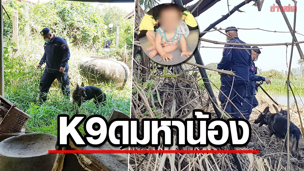 ยังลุยหา"น้องต่อ"ทั้งในน้ำ-บนบก ส่งสุนัขตำรวจK9 ดมหลังบ้านพุด-กอไผ่ริมท่าจีน