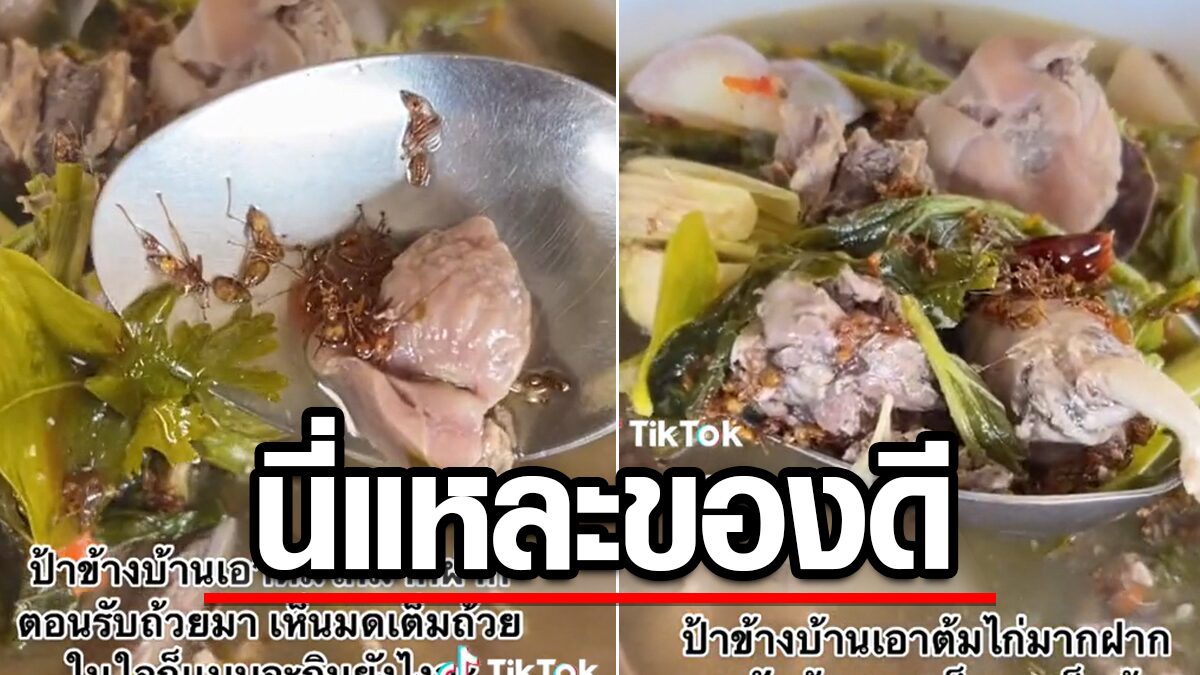 สาวมึนจะกินยังไง ข้างบ้านมีน้ำใจ ต้มไก่มาฝาก แต่มดแดงลอยเต็มชาม