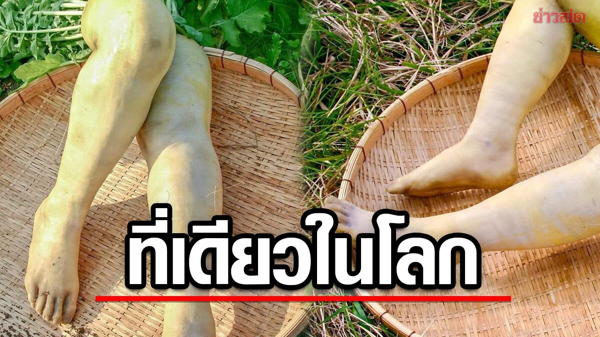 สุดสะพรึง!  ขุด "หัวไชเท้า" ออกมาเป็นรูป 'เท้า' สมชื่อ มีนิ้วเล็บครบ 2 ข้าง