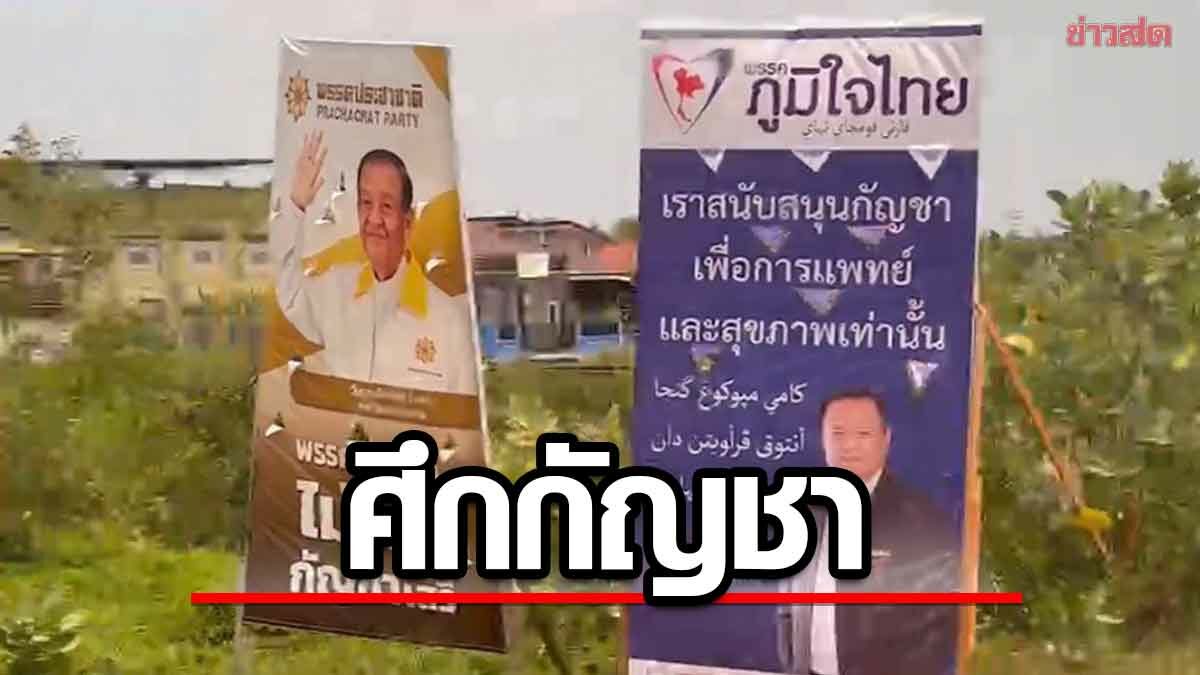 ประชันเดือด ป้ายหาเสียงเผชิญหน้า ภูมิใจไทย-ประชาชาติ ศึกกัญชา