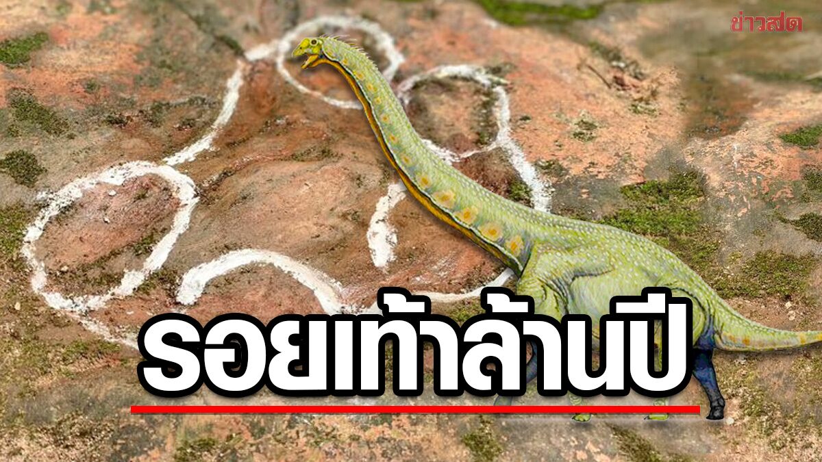 ยืนยันแล้ว “รอยบุ๋ม” ที่ลานร้านอาหารจีนเป็นของ “ไดโนเสาร์” เก่า 100 ล้านปี