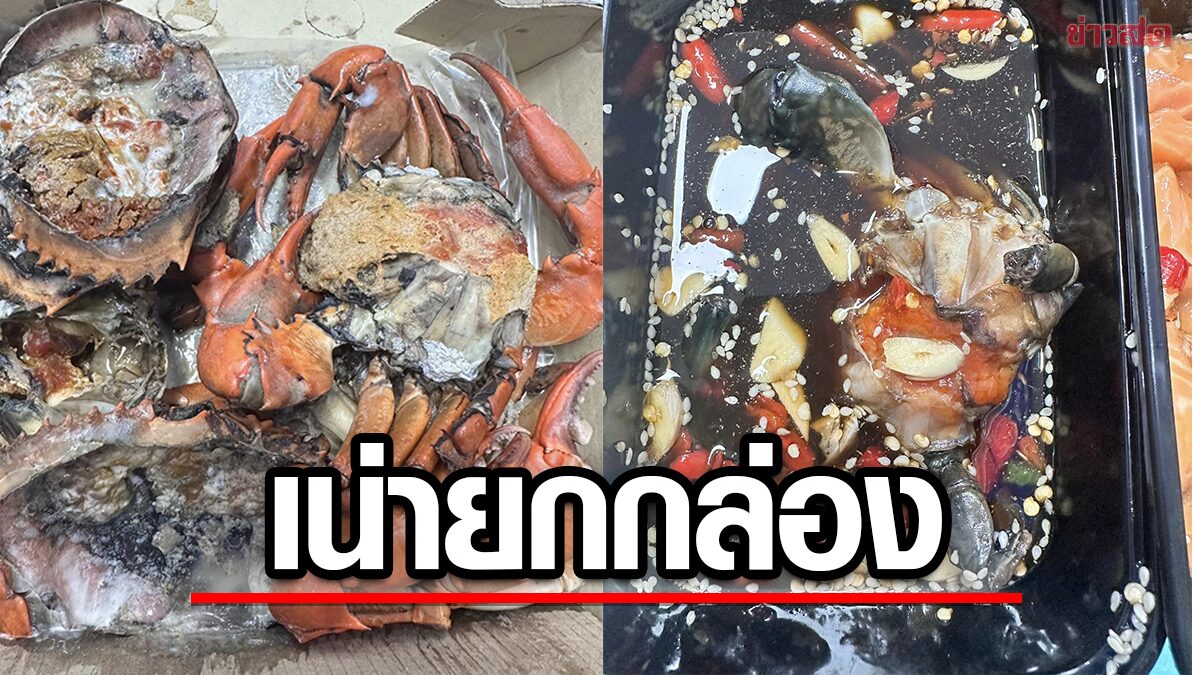 สุดแค้น สั่งปูนึ่งได้ปูเน่า ร้านยังกล้าตอบ สั่งเมนูอื่นดูเผื่อจะไม่เน่า