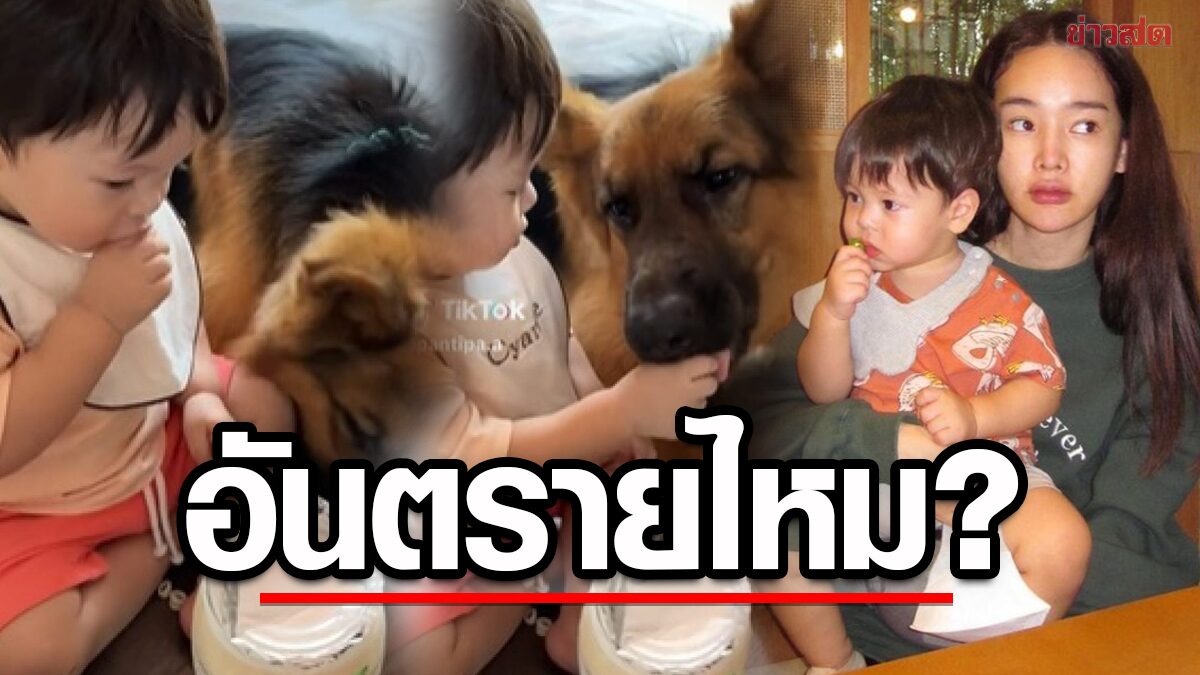 ปุ้มปุ้ย ตอบชาวเน็ต  ลูกชายกินขนมกับน้องหมาอันตรายไหม