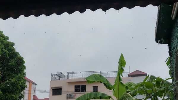 เชียงใหม่ ท้องฟ้ามืดครึ้ม ฝนถล่มหนัก อุณหภูมิลดฮวบ เผย หมอกลงบนยอดดอยสุเทพ