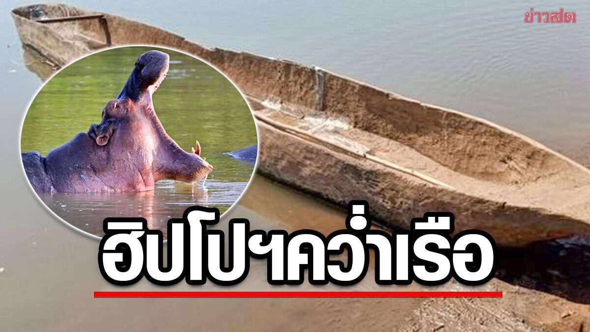 เร่งหาเหยื่อ “ฮิปโป” คว่ำเรือแคนู คร่าเด็กชาย 1 ขวบ-อีก 23 คนยังสูญหาย